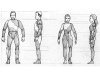 rr11-copy.jpg